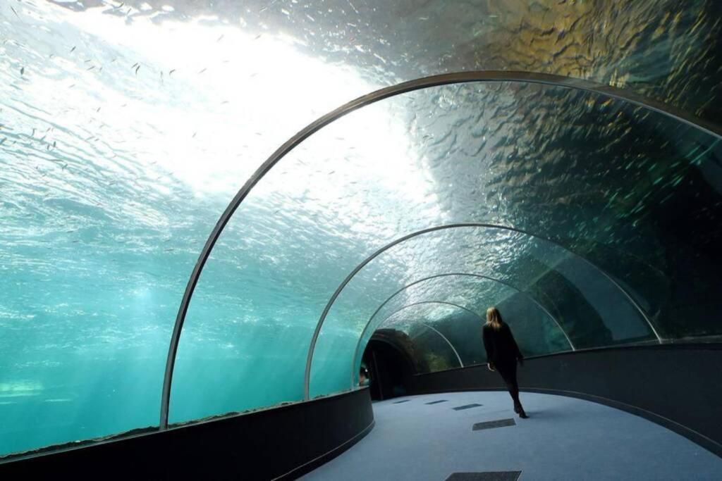 La Perle Marine :Boulogne Sur Mer Exterior foto